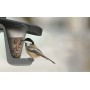 Karmnik dla ptaków - BIRDYFEED DOUBLE